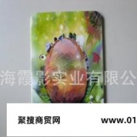 上海印刷 高清数码彩印加工 MID塑胶外壳彩印