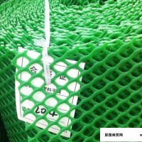 专业生产1米宽1.2孔养殖塑料网 菱形孔宠物安全防护网
