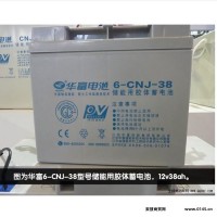 华富蓄电池6-CNJ-24 铅酸免维护 铁路通讯、应急照明系统专用 12V24AH 厂价直销