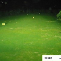 上海通霆TTZ-0006高尔夫照明工程设计施工 练习场照明、球场照明、会所照明