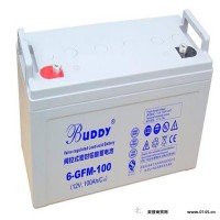 BUDDY蓄电池6-GFM-38宝迪蓄电池12V38AH直流屏UPS电池消防应急电源电池 配电池专用电池EPS蓄电池