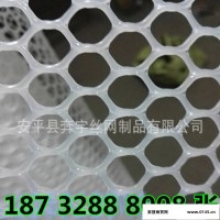 白色圆孔塑料板网 菱形塑料板网 养殖塑料板网 抗老化使用年限长