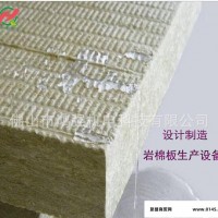 **投资办厂好项目 建材生产线 岩棉板成套生产设备