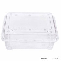 加厚透明塑料托盘 一次性吸塑包装 果蔬盒 果蔬生鲜水果蔬菜托盘 鲜切包装盒