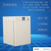 电热恒温培养箱DHP-9012 上海厂家现货直销 非标定制定做 恒温培养箱 电热设备