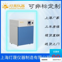 电热恒温培养箱DHP-9272P上海厂家现货直销 非标定制定做 恒温培养箱 电热设备