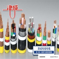 津成yjv1 2 3 4 5芯电缆 国标铜芯，全型号供应
