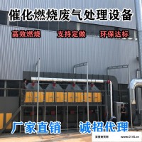柳州 价格合理催化燃烧喷涂厂环保设备