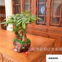 东阳红木家具缅甸花梨木书房家具中式实木1.8米红木花鸟大班台