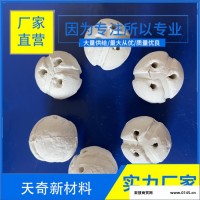 无孔瓷球填料 化工陶瓷填料 化工陶瓷填料 厂家直营 天奇新材料