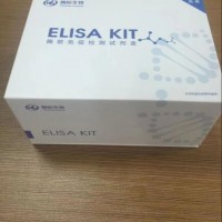 大鼠髓过氧化物酶特异性抗中性粒细胞胞质抗体IgG(MPO-ANCA IgG)ELISA试剂盒48TMB-1892A