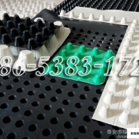 怒江生产PVC排水板厂家_2公分排水板