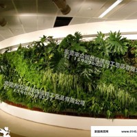 定制仿真植物墙 室内环保**真绿植墙 设计节假日气氛布置植物装饰墙