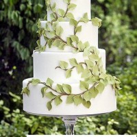 婚礼蛋糕 清新绿色安全、平静、舒适之感