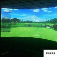 室内休闲娱乐运动产品  室内模拟高尔夫 高尔夫人造果岭草
